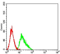 Figure 5:Flow cytometric analysis of Ramos cells using CD209 mouse mAb (green) and negative control (red).