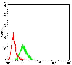 Figure 5:Flow cytometric analysis of HL-60 cells using CD183 mouse mAb (green) and negative control (red).