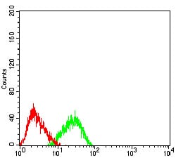 Figure 6:Flow cytometric analysis of Jurkat cells using CD183 mouse mAb (green) and negative control (red).