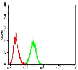 Figure 4:Flow cytometric analysis of Ramos cells using CD172A mouse mAb (green) and negative control (red).