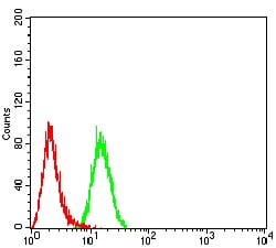 Figure 5:Flow cytometric analysis of Hela cells using APAF1 mouse mAb (green) and negative control (red).