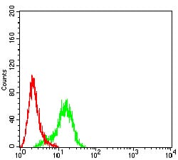 Figure 4:Flow cytometric analysis of Hela cells using ACTR3 mouse mAb (green) and negative control (red).