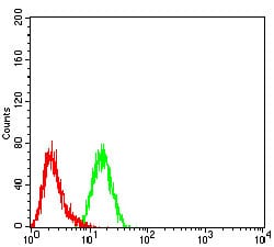 Figure 4:Flow cytometric analysis of K562 cells using CD114 mouse mAb (green) and negative control (red).