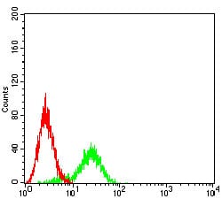 Figure 5:Flow cytometric analysis of Ramos cells using CD114 mouse mAb (green) and negative control (red).