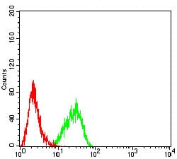 Figure 4:Flow cytometric analysis of HL-60 cells using CD122 mouse mAb (green) and negative control (red).