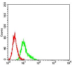 Figure 5:Flow cytometric analysis of Ramos cells using CD191 mouse mAb (green) and negative control (red).