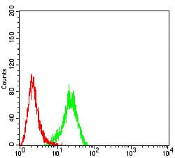 Figure 5:Flow cytometric analysis of Hela cells using FOLR1 mouse mAb (green) and negative control (red).