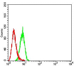 Figure 5:Flow cytometric analysis of Hela cells using PSMA mouse mAb (green) and negative control (red).