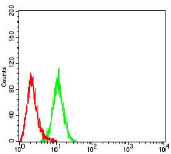 Figure 5:Flow cytometric analysis of Hela cells using BAG1 mouse mAb (green) and negative control (red).