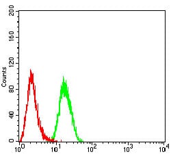 Figure 4:Flow cytometric analysis of Hela cells using APAF1 mouse mAb (green) and negative control (red).