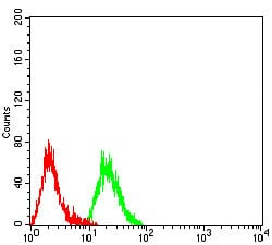 Figure 4:Flow cytometric analysis of Raji cells using CD140a mouse mAb (green) and negative control (red).