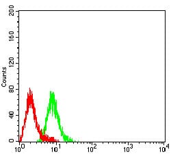 Figure 4:Flow cytometric analysis of Raji cells using CD3G mouse mAb (green) and negative control (red).