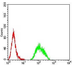 Figure 5:Flow cytometric analysis of Hela cells using APC2 mouse mAb (green) and negative control (red).