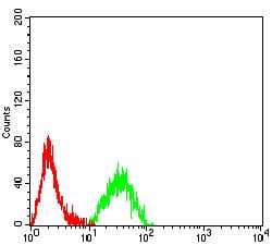 Figure 4:Flow cytometric analysis of Raji cells using CD11C mouse mAb (green) and negative control (red).