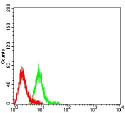 Figure 4:Flow cytometric analysis of Raji cells using CD1B mouse mAb (green) and negative control (red).