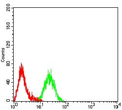 Figure 3:Flow cytometric analysis of Raji cells using CD1B mouse mAb (green) and negative control (red).