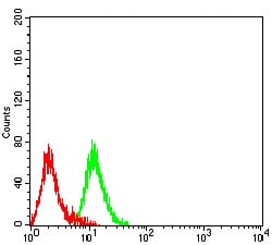 Figure 4:Flow cytometric analysis of Raji cells using CD305 mouse mAb (green) and negative control (red).