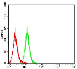 Figure 4:Flow cytometric analysis of Hela cells using CD63 mouse mAb (green) and negative control (red).