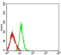 Figure 4:Flow cytometric analysis of HL-60 cells using CD63 mouse mAb (green) and negative control (red).