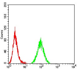 Figure 5:Flow cytometric analysis of Hela cells using CD44 mouse mAb (green) and negative control (red).