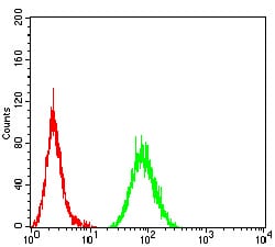 Figure 5:Flow cytometric analysis of Hela cells using CD44 mouse mAb (green) and negative control (red).