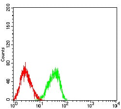 Figure 4:Flow cytometric analysis of HL-60 cells using CD84 mouse mAb (green) and negative control (red).