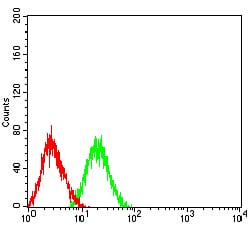 Figure 4:Flow cytometric analysis of HL-60 cells using CD50 mouse mAb (green) and negative control (red).