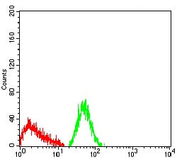 Figure 4:Flow cytometric analysis of Jurkat cells using CD66A mouse mAb (green) and negative control (red).