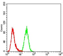 Figure 4:Flow cytometric analysis of Hela cells using TLL1 mouse mAb (green) and negative control (red).