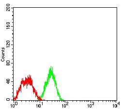 Figure 5:Flow cytometric analysis of HT1080 cells using CD49B mouse mAb (green) and negative control (red).