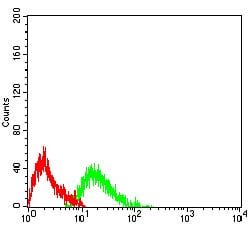 Figure 4:Flow cytometric analysis of Raji cells using CD45 mouse mAb (green) and negative control (red).