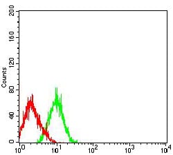 Figure 4:Flow cytometric analysis of HL-60 cells using CD203C mouse mAb (green) and negative control (red).