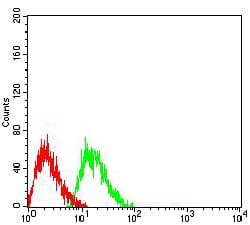 Figure 5:Flow cytometric analysis of Jurkat cells using CD223 mouse mAb (green) and negative control (red).