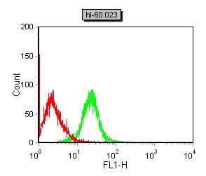 Figure 5:Flow cytometric analysis of HL-60 cells using CD42B mouse mAb (green) and negative control (red).