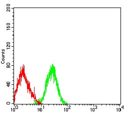 Figure 5:Flow cytometric analysis of HL-60 cells using CD42B mouse mAb (green) and negative control (red).