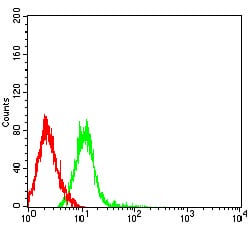 Figure 5:Flow cytometric analysis of HL-60 cells using CD54 mouse mAb (green) and negative control (red).