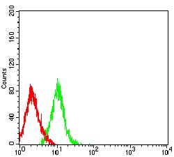 Figure 4:Flow cytometric analysis of HL-60 cells using BTLA mouse mAb (green) and negative control (red).