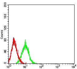 Figure 4:Flow cytometric analysis of HL-60 cells using CD8A mouse mAb (green) and negative control (red).