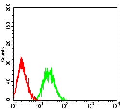 Figure 4:Flow cytometric analysis of HL-60 cells using PTPRD mouse mAb (green) and negative control (red).