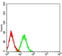 Figure 4:Flow cytometric analysis of HL-60 cells using CD89 mouse mAb (green) and negative control (red).