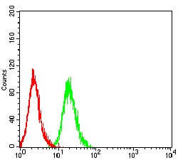 Figure 4:Flow cytometric analysis of Hela cells using CD89 mouse mAb (green) and negative control (red).