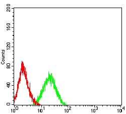 Figure 5:Flow cytometric analysis of HL-60 cells using CD89 mouse mAb (green) and negative control (red).