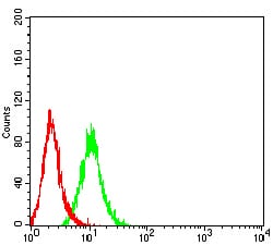 Figure 4:Flow cytometric analysis of Hela cells using TNFRSF11A mouse mAb (green) and negative control (red).