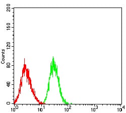 Figure 5:Flow cytometric analysis of HL-60 cells using LILRB2 mouse mAb (green) and negative control (red).