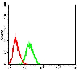 Figure 4:Flow cytometric analysis of HL-60 cells using TNFRSF6B mouse mAb (green) and negative control (red).