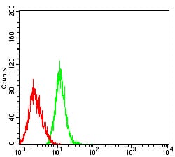 Figure 4:Flow cytometric analysis of HL-60 cells using CCL4 mouse mAb (green) and negative control (red).