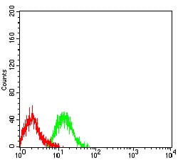 Figure 4:Flow cytometric analysis of Jurkat cells using TNFRSF18 mouse mAb (green) and negative control (red).