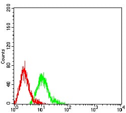 Figure 5:Flow cytometric analysis of HL-60 cells using CD57 mouse mAb (green) and negative control (red).