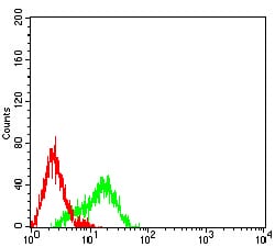 Figure 7:Flow cytometric analysis of HL-60 cells using NAGR1 mouse mAb (green) and negative control (red).