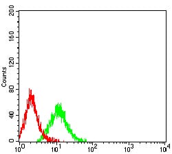 Figure 4:Flow cytometric analysis of Jurkat cells using CHRM3 mouse mAb (green) and negative control (red).